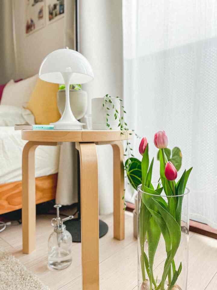 球根チューリップの開花が近い🌷
#花 #チューリップ #春 #季節を楽しむ