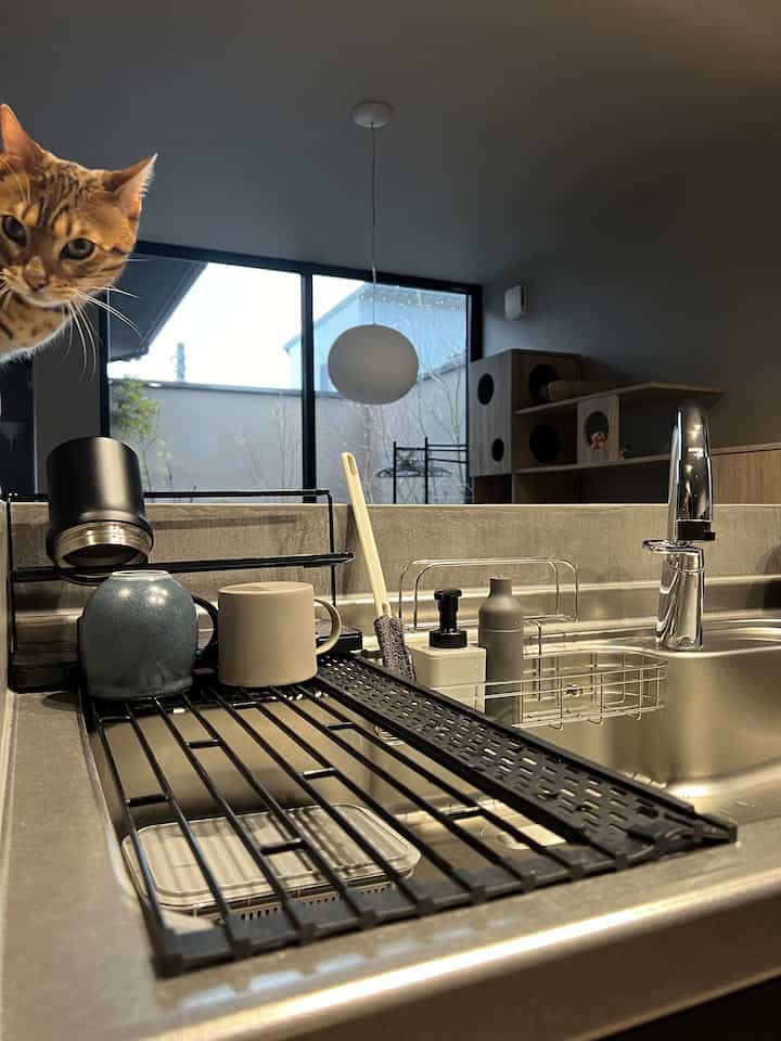 ナチュラルな色調のキッチン、シンクとキャットタワーが配置された猫と暮らす空間