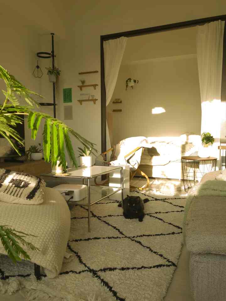 Natural-toned living room for single household featuring plants and a black cat resting on a patterned rug
