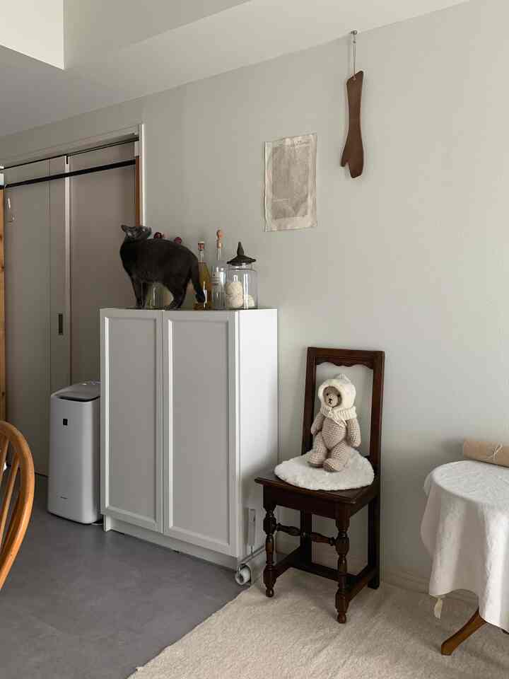 久しぶりに寝室の扉を閉めたら気になるようです🐈‍⬛

#賃貸インテリア #1LDK #ラグ #猫のいる暮らし #モルタル床 #ikea #ビリー #洗えるラグ #加湿器  #空気清浄機