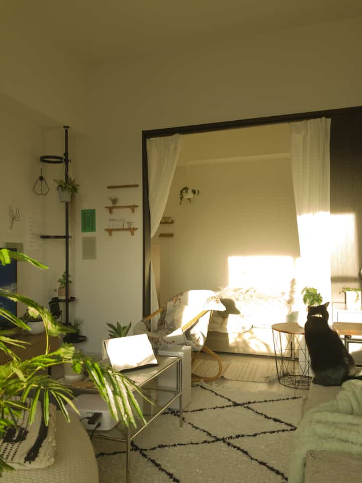温かい日差しが差し込むホワイトトーンの1LDKリビング、自然の植物とペットの猫が調和した雰囲気のあるインテリア