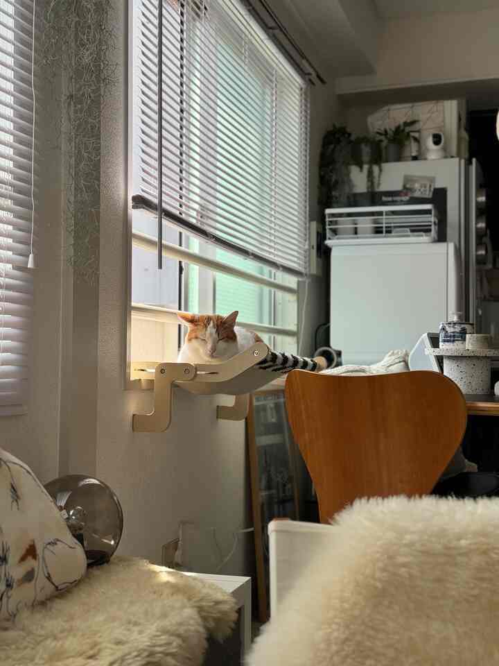 明るい白と温かみのある木目調が特徴のミッドセンチュリーモダンなダイニングルーム、窓辺にキャットハンモックと猫が配置された落ち着いた空間