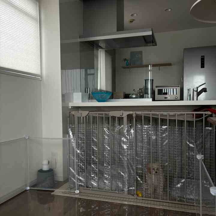 白とグレーのトーンが特徴のキッチンスペース、透明なペット用安全フェンス内に小犬がいる清潔で実用的なインテリア