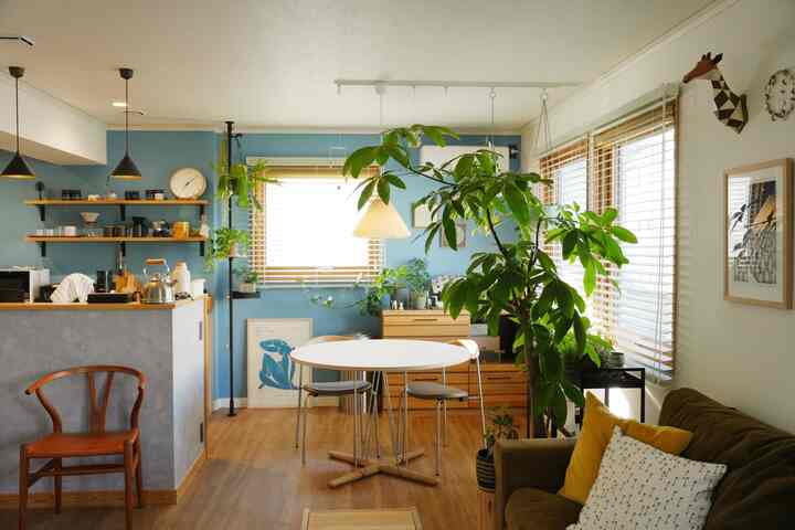 昨日ドローアラインを設置したあと観葉植物屋さんにいきビカクシダを買ってきました🪴
更に緑もりもりで良い🙆‍♀️ 
#観葉植物 
#drawaline