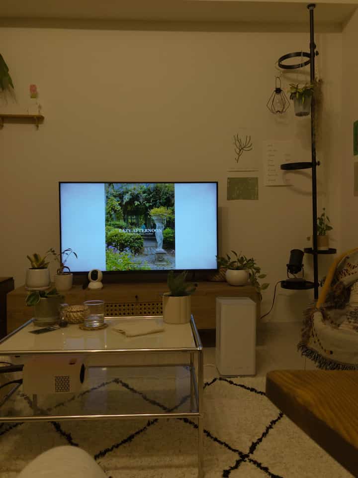 白い壁とブラウンの木目調が特徴の1LDKリビング、テレビ台とコーヒーテーブル、複数の植物が配置された落ち着いた空間