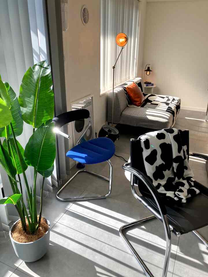 緑の植物と青い椅子が配置されたミッドセンチュリーモダンのリビング、ソファと小物でシンプルモダンな雰囲気のあるインテリア