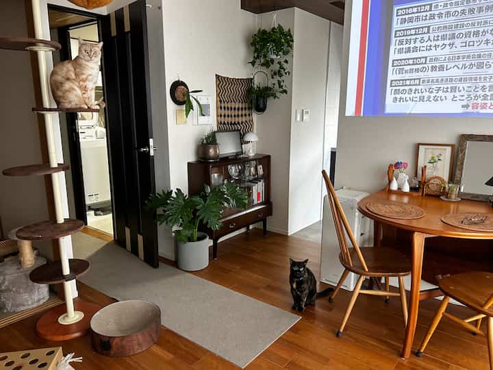 Natural wood-tone living and dining room featuring cat tower and two cats in a cozy, warm setting
