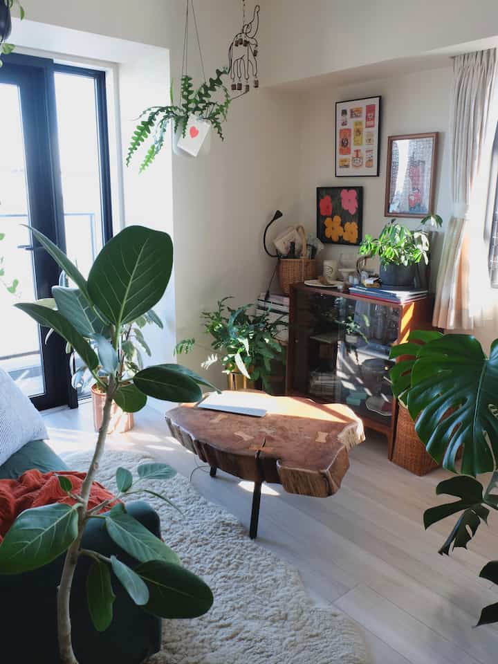 陽光が差し込む白い壁と木製コーヒーテーブル、観葉植物が配された温かみのあるリビングルーム