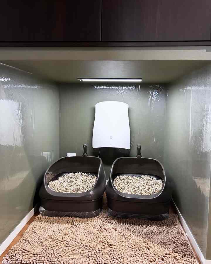 Beige mat with dark brown cat litter boxes arranged in a cozy pet-dedicated small space