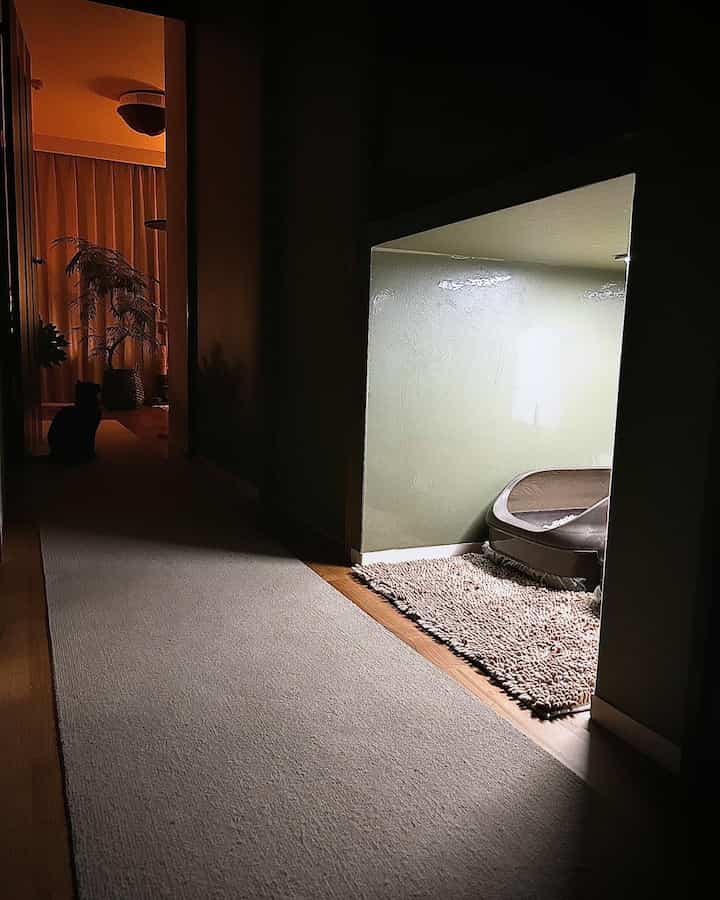 Calm beige and white-toned hallway featuring a closet space with a cat litter box and soft rugs, creating a cozy pet-friendly area