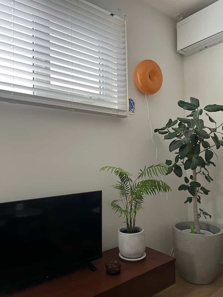 注文住宅なので出来上がるまで日の入り方とか心配でしたが、どの植物も元気に育ってくれて一安心。
#フィカスベンガレンシス #アレカヤシ