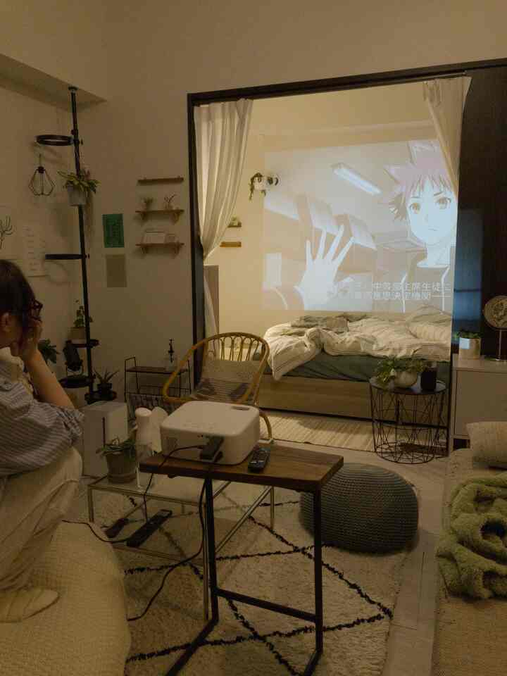 Natural-toned 1LDK living room and bedroom featuring a projector home cinema separated by curtains, creating a cozy interior