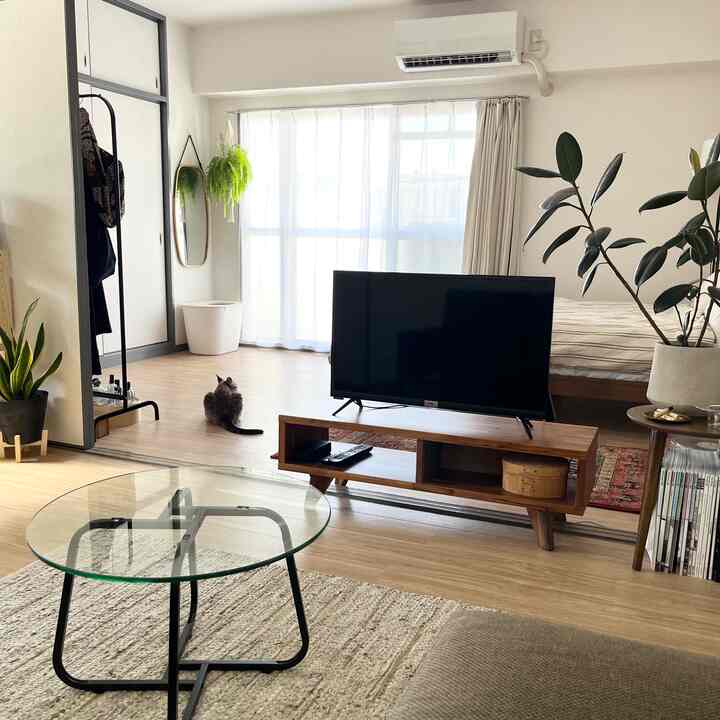 Natural-toned living room featuring wooden furniture, a cat, and large bright window curtains in a simple space
