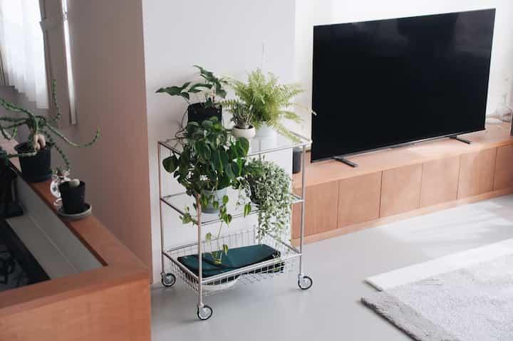 植物を飾るワゴンをずっと探していたんですけど、Ogreのモジュールトロリーに落ち着きました🌱ガラスで圧迫感なく、網棚もあるので収納としても優秀で、本当良い買い物しました🛒
#植物棚 #ワゴン #トロリー