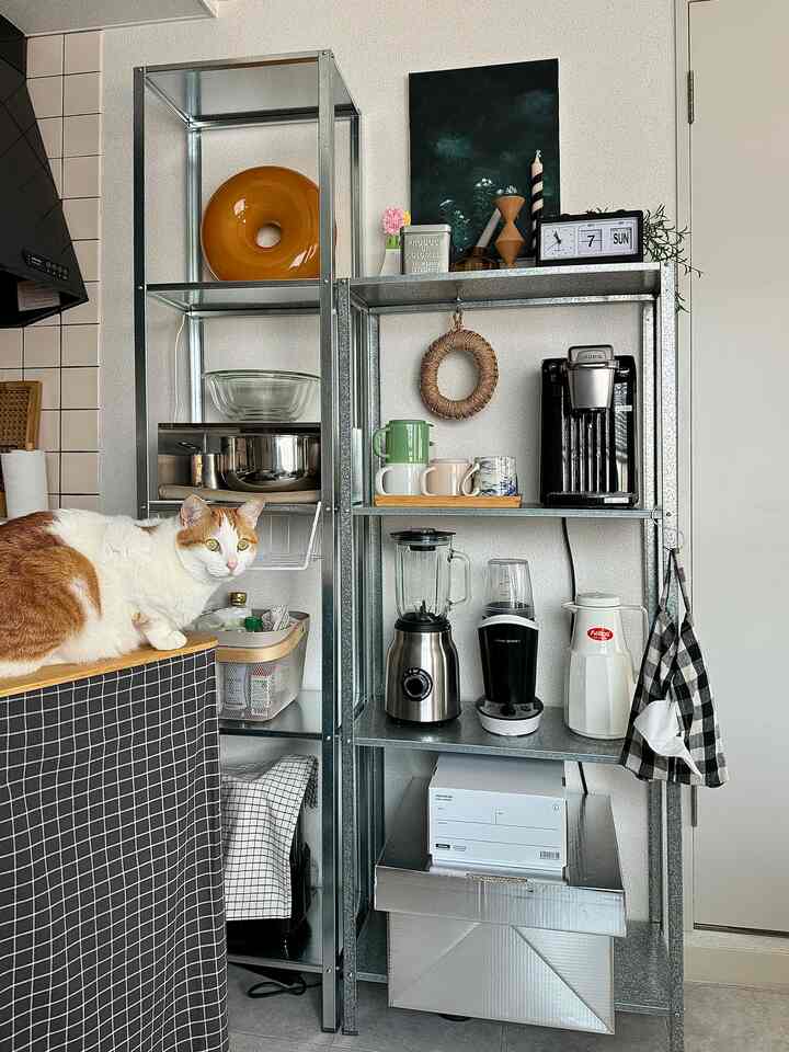 シルバーの金属棚と白い壁があるキッチン空間で、家電と猫がいるアットホームな一人暮らしのキッチンインテリア