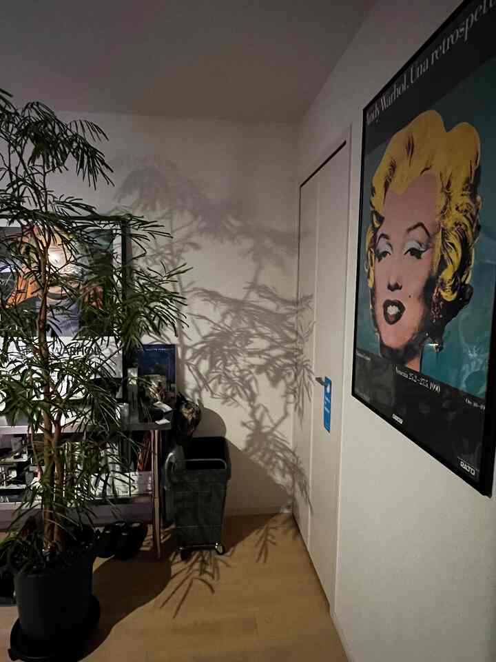 ウッドトーンの床と白い壁が調和する1LDKのリビング、巨大な植物と額装された壁のアートが落ち着いた雰囲気を演出する空間