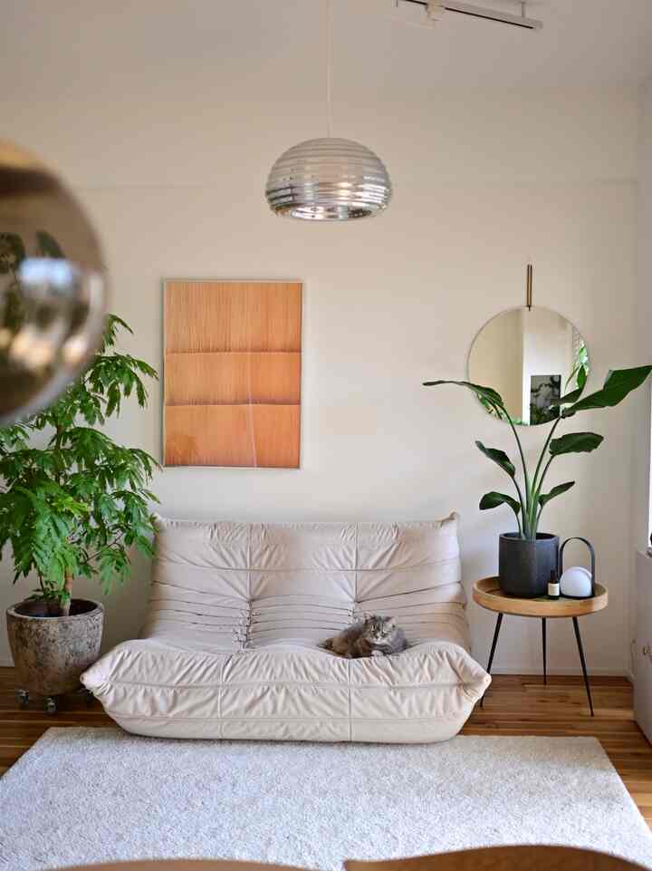 白い壁とナチュラルカラーの家具、ソファの上に猫がいるリビングルームの雰囲気のあるインテリア