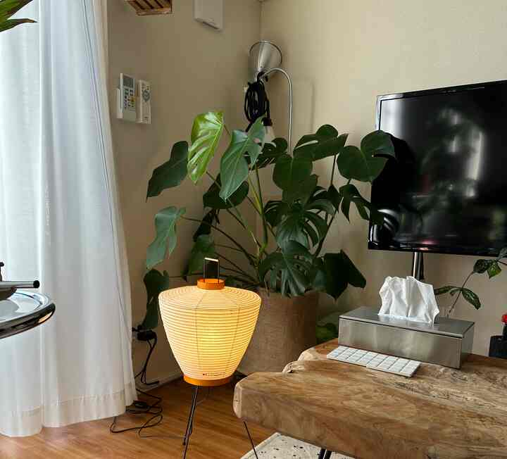 ナチュラルなブラウンの木製テーブルと大きな植物が置かれたモダンなリビングスペース、アカリ5Aのフロアランプが暖かい雰囲気を演出