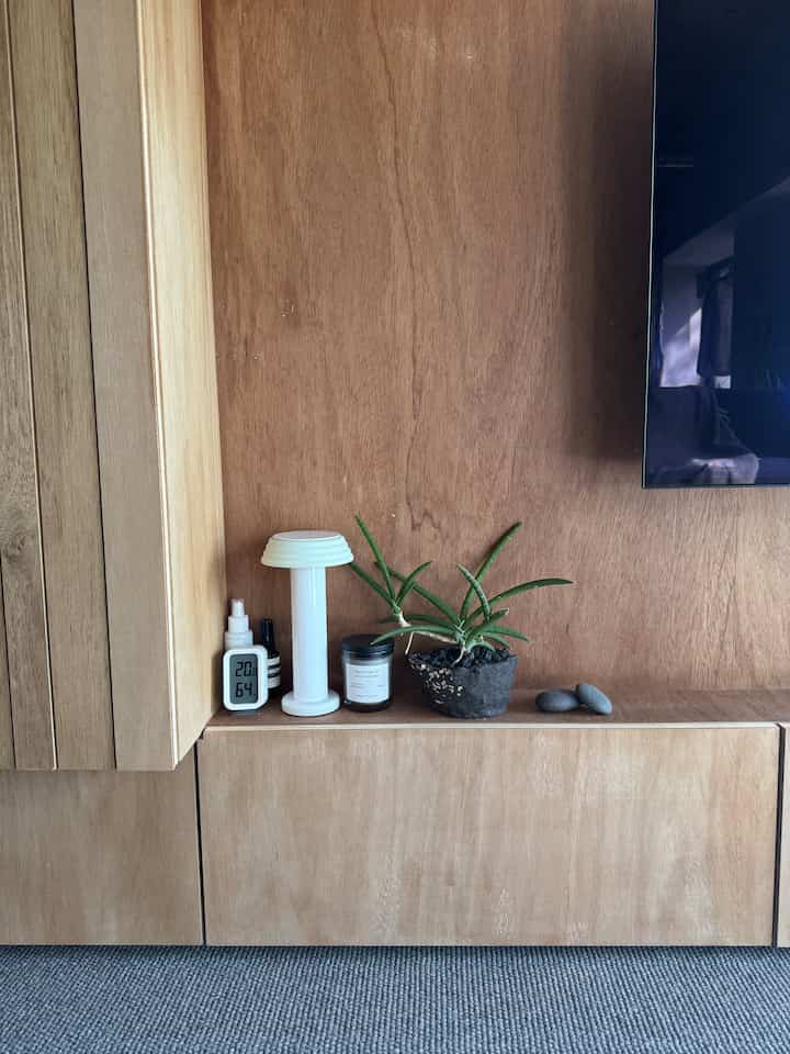 Sansevieria mudah tumbuh dan direkomendasikan 🌿


#Renovasi apartemen
#Satu ruangan
#karpet
#Mebel
#rawan