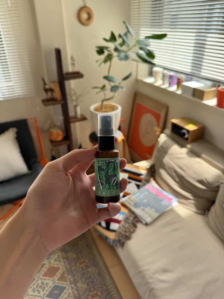 ナチュラルな木目調とベージュのソファ、植物が配置された明るい1LDKのリビング