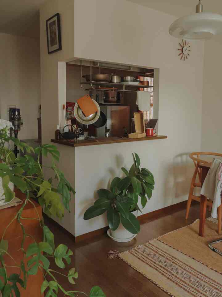 Beige and wood tone living room and kitchen featuring plants and rug in a cozy natural style space