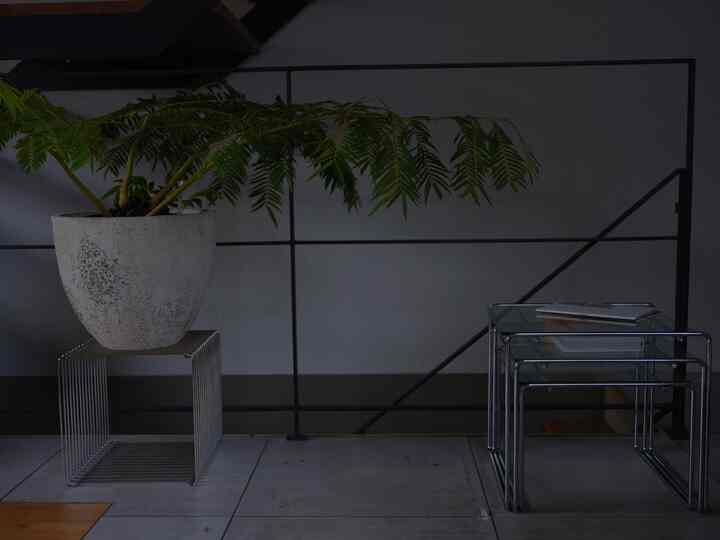 #リュウビンダイ