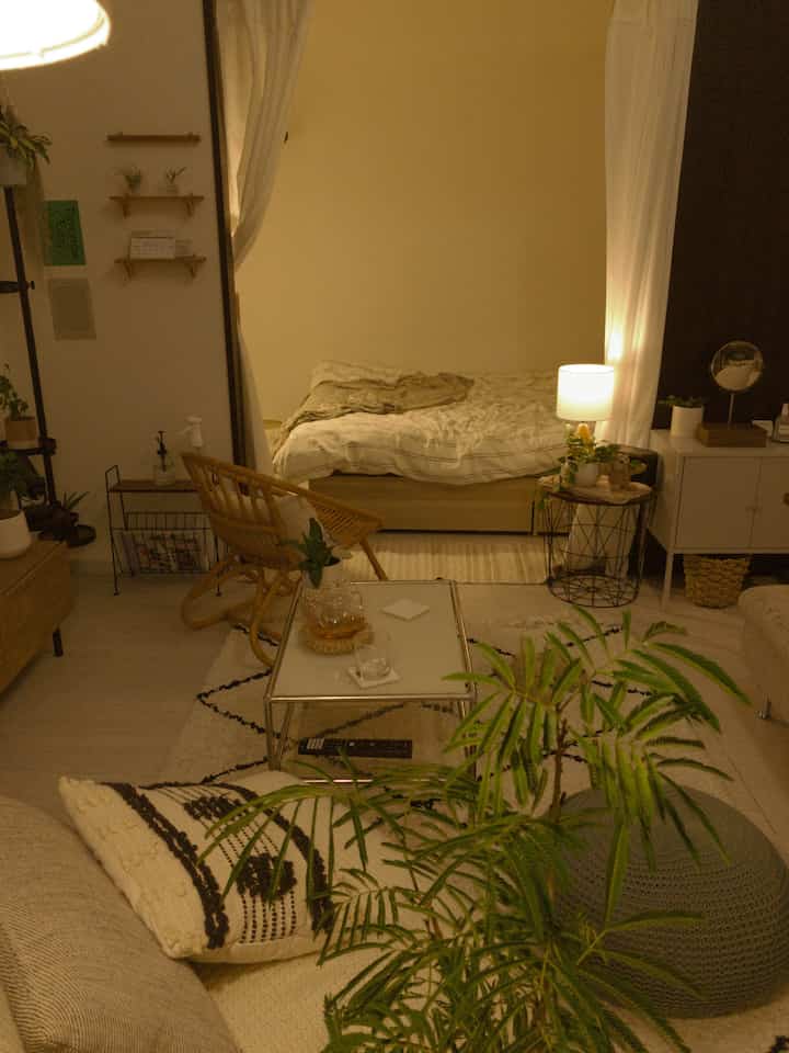 Natural-toned single household living and bedroom space featuring sofa, coffee table, and plants with a warm atmosphere