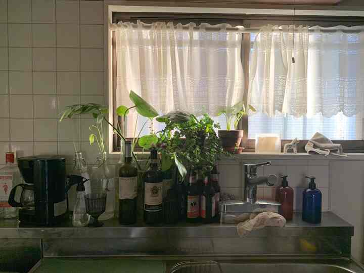 白いタイル壁とレースカーテンのあるアパートのキッチン、窓辺に置かれた緑の植物が自然な雰囲気を醸し出す印象的な空間