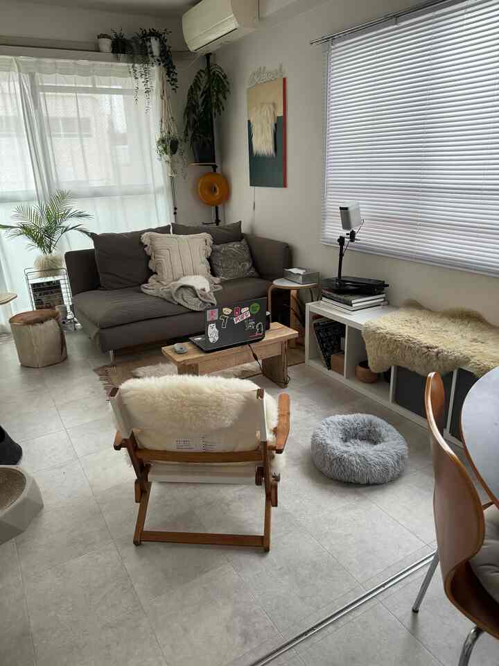 Gray and wood-tone 1-person living room featuring a simple sofa and pet bed creating a cozy atmosphere