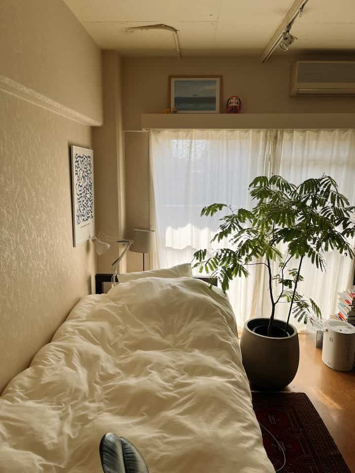 Beige and white toned bedroom featuring a central bed and a large potted plant on the right, creating a cozy space