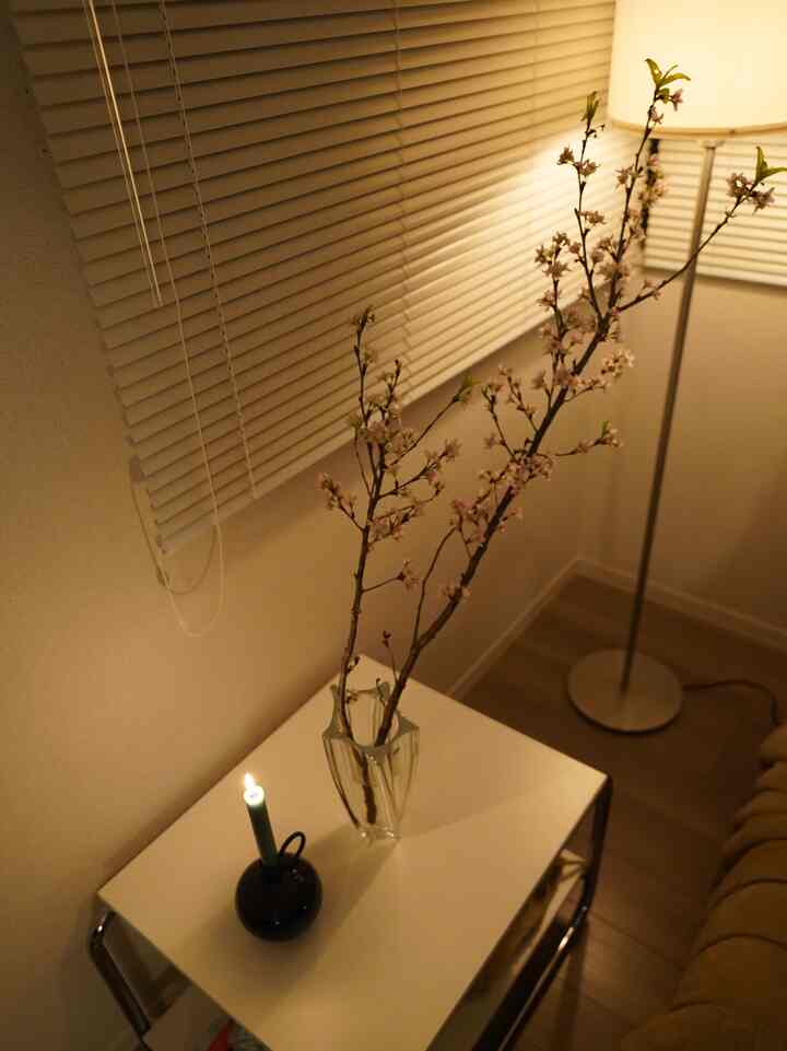 Night Chill🕯️🌸
#baggboda #キャンドル #リビング