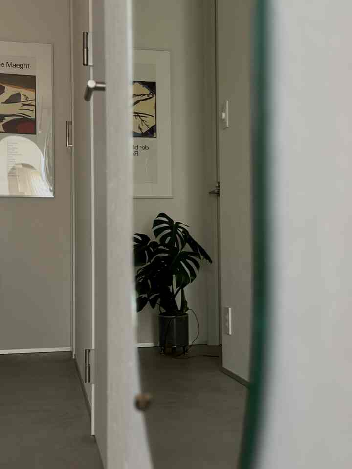 白とグレーの色調の玄関、ポスターと植物が配置されたナチュラルでミニマルな雰囲気のあるインテリア