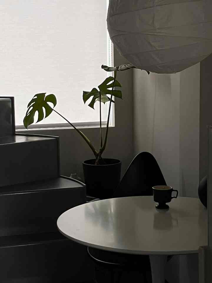 Modern dining area in white and gray tones featuring spiral stairs and a potted plant by the window