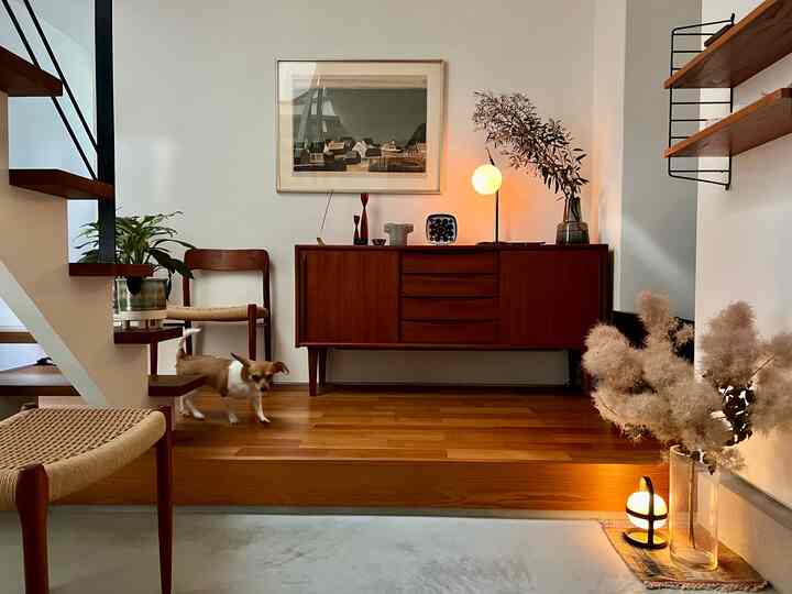 白い壁と木目調の家具が配置されたシンプルなスカンジナビアスタイルのリビング、犬がいる居心地の良いホテルライクな空間