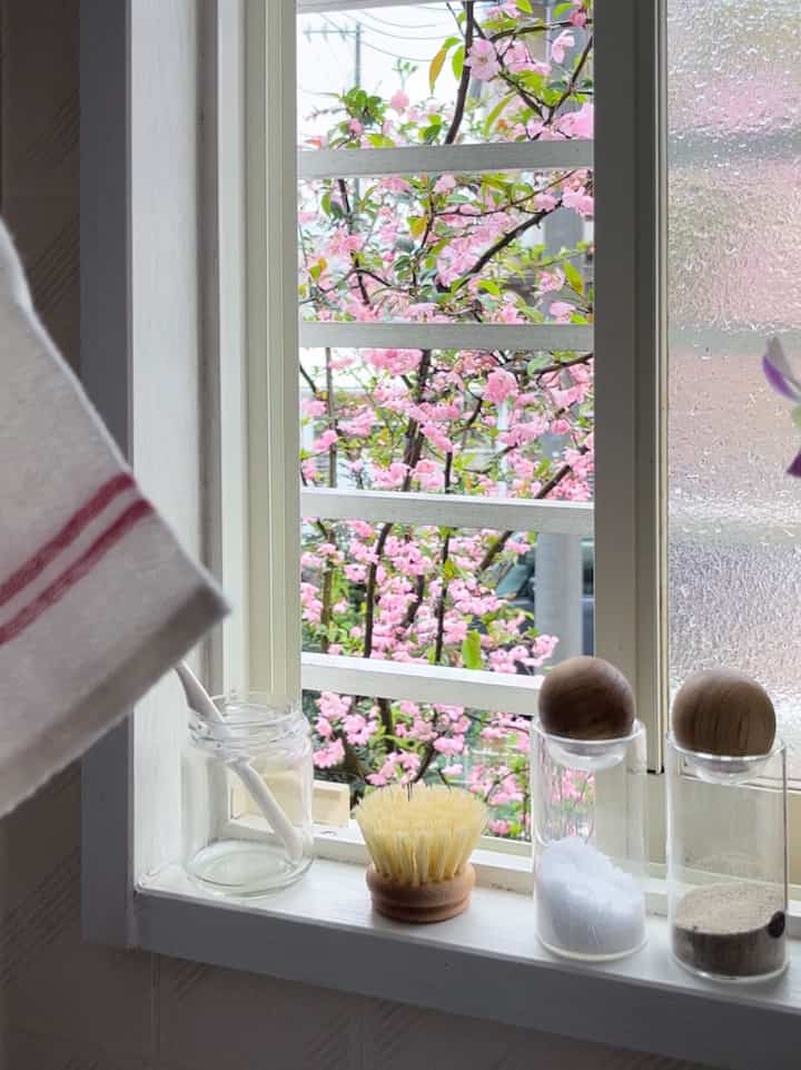 新築完成までの戸建て仮住まい。
キッチンの窓の外から綺麗なお花を眺めることができます。
春ですな〜！
キッチン前に窓があると、景色眺めながらお料理が出来ていいね。
でも次の新築には付けないのだ🙌
何故かと言うとキッチン側はお隣さんの壁だから😂


#窓 #窓からの眺め #キッチン #キッチン小物 #キッチン雑貨 #キッチン飾り #キッチン用品 #台所 #台所用品 #キッチングッズ #キッチンインテリア #キッチン整理 #IKEA #IKEA購入品