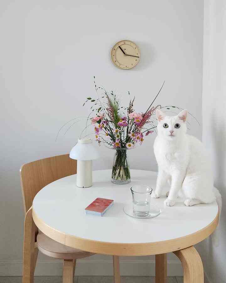 The combination of white and wood is always timeless. 🌿✨ #ClassicCombo #TimelessDesign #InteriorInspiration