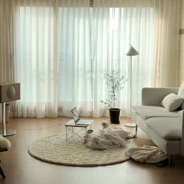 Tagged posts featuring YUH Floor Lamp (4 colors) 3