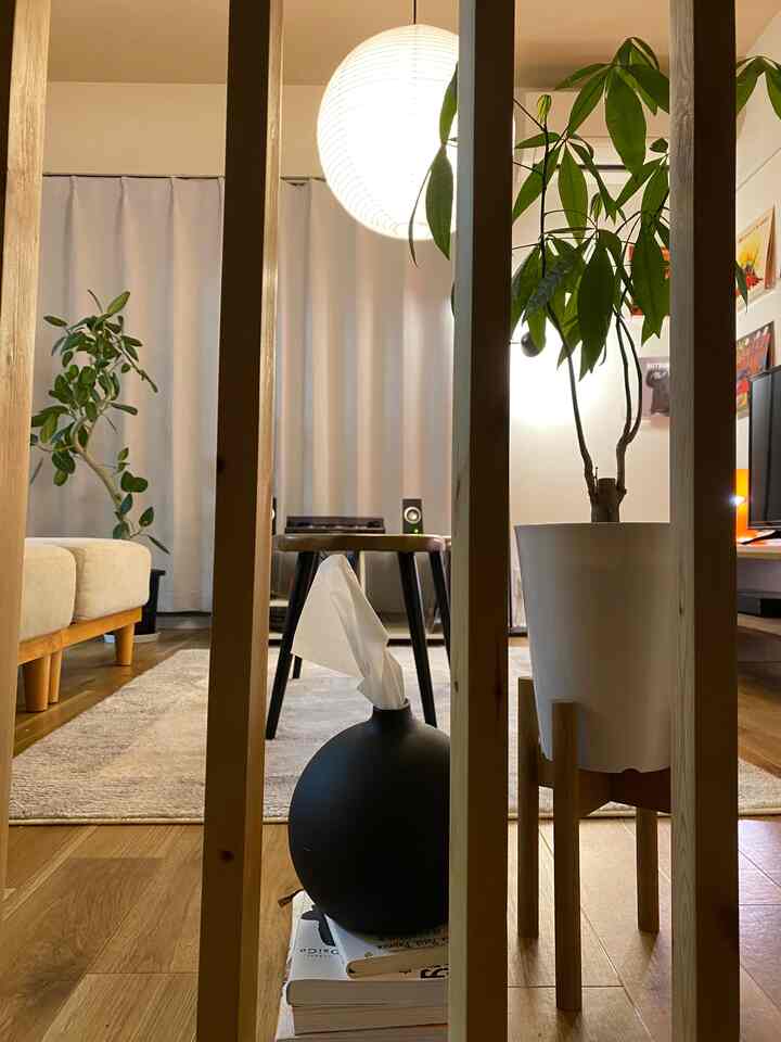 #2dk #マイホーム #北欧#Scandinavian interior#Interior#Midcentury#Living alone#6 tatami mats#Interior coordination#Living room#Indirect lighting #観葉植物#Roomtour #ikea
#Livingroom#Interiordesign #plantlife
