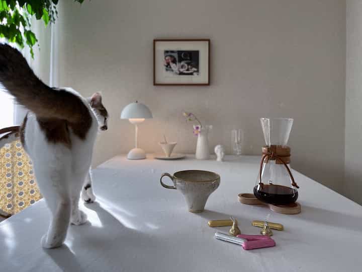 2代目ケメックス。
初代ケメックスは、破壊神によって土に還りました。
洗うのめんどくさいけど、なんだかんだ可愛い。
写真2枚目)
またバカ飼い主がバカなことしてるって目で見てる。世知辛い。

#猫と暮らす #猫のいる暮らし #猫インテリア #猫 #猫と家 #猫がいる暮らし #猫のいる生活 #コーヒー #コーヒーのある暮らし #コーヒーメーカー #ケメックス #chemex #コーヒータイム #テーブルフォト #テーブルインテリア #テーブルコーディネート #器好き #器のある暮らし #作家もの #作家ものの器 #食器 #器