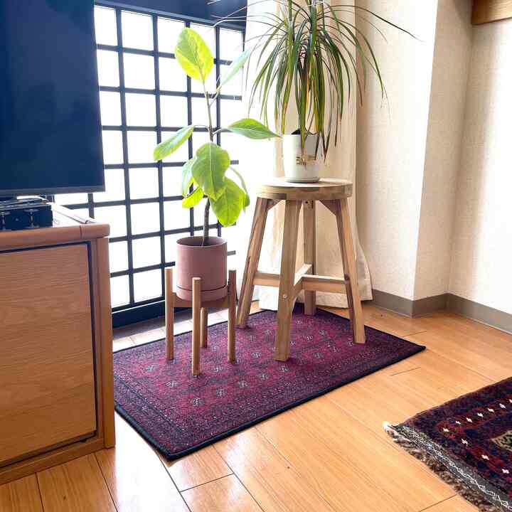 #リビング 
#ミニラグ
#リビング植物 
#ポイントインテリア 
#ヴィンテージ・レトロ 
#ヴィンテージ雑貨 