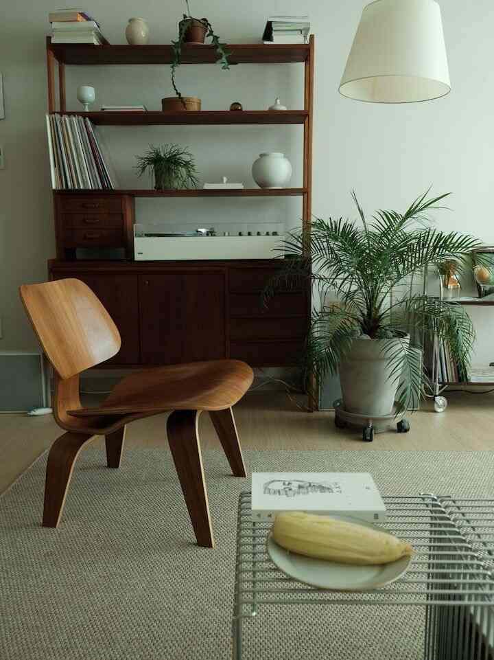 Plants seem to balance the weight of a space. 🌿✨ #BalancingAct #GreeneryTouches #InteriorInspiration