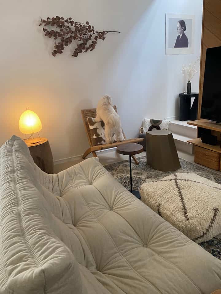 Natural color toned living room featuring beige sofa, rattan armchair with a small dog, and warm floor lamp creating cozy ambiance