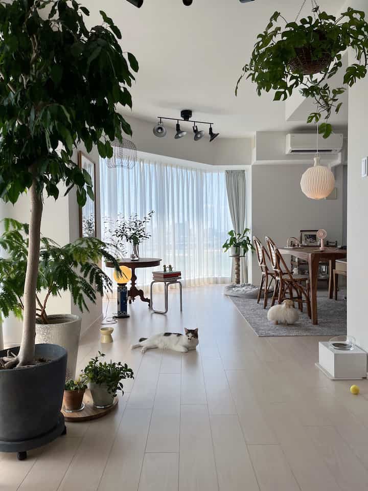 Beige flooring and white walls in a dining room featuring a cat, plants, and natural wooden furniture creating a cozy atmosphere