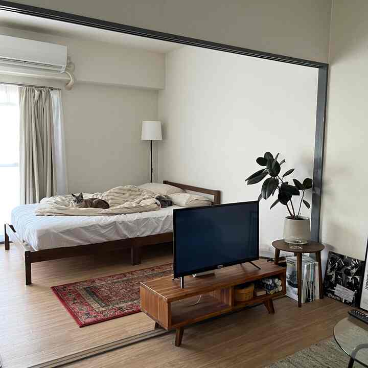 ナチュラルカラーと木目調が調和するシンプルな寝室兼リビング、ベッド、テレビ台、フロアランプ、猫が配置された居心地の良い空間