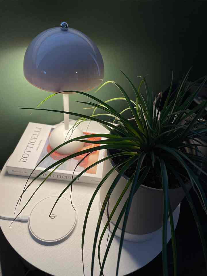 ソファー脇の癒し場所

#ポータブルライト #フェイクブック
