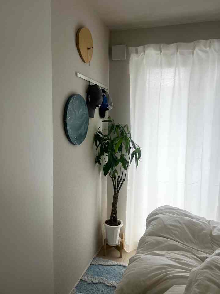 Pertumbuhan Pachira luar biasa✨

#Skandinavia #ナチュラルインテリア #韓国インテリア #北欧インテリア #ローテーブル #木製 #コンパクト #木目 #一人暮らし {8 #Kohabitasi } #新築 #賃貸 #インテリア #テーブル #ナチュラル #シンプル #リビング #ソファ #観葉植物 #ベッド #寝室 #パキラ #IKEA #無印良品