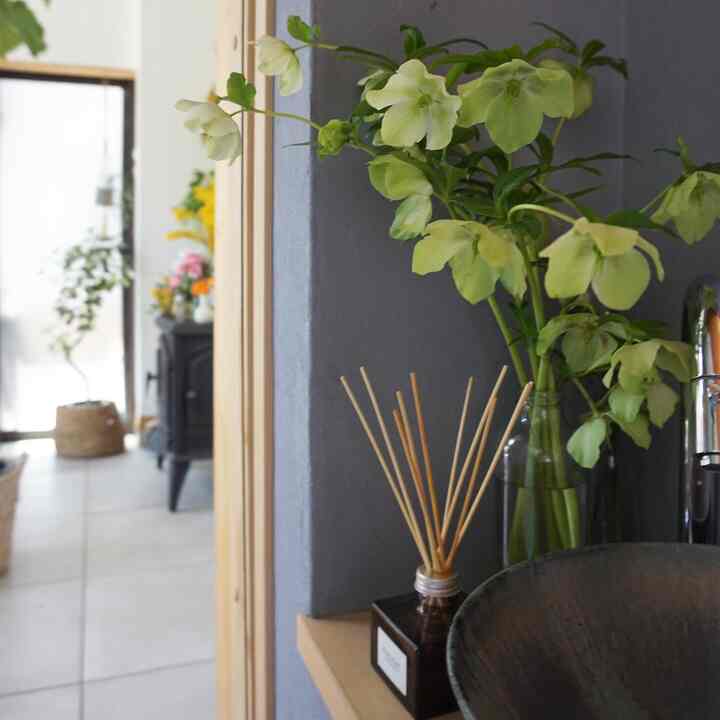 Natural color entrance area with gray wall, featuring Christmas rose flowers and a diffuser, creating a cozy atmosphere
