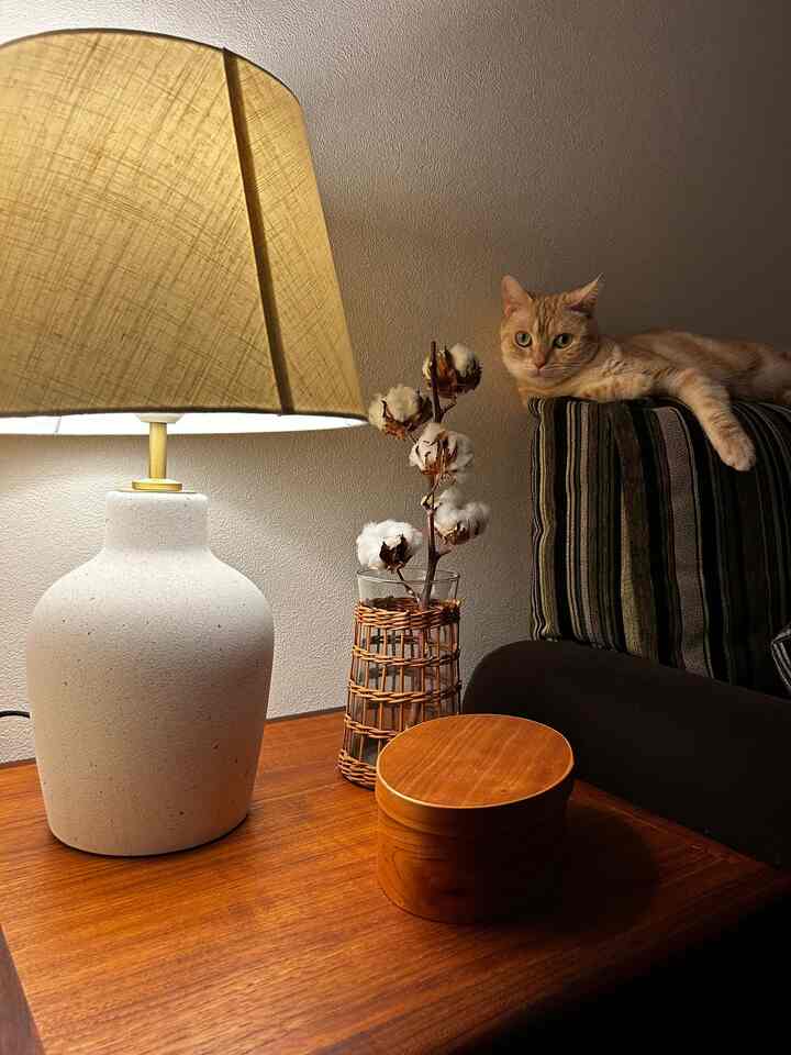 Warm yellow-toned living room with a side table featuring an IKEA table lamp and rattan vase, a cat resting on the sofa back creating a cozy atmosphere