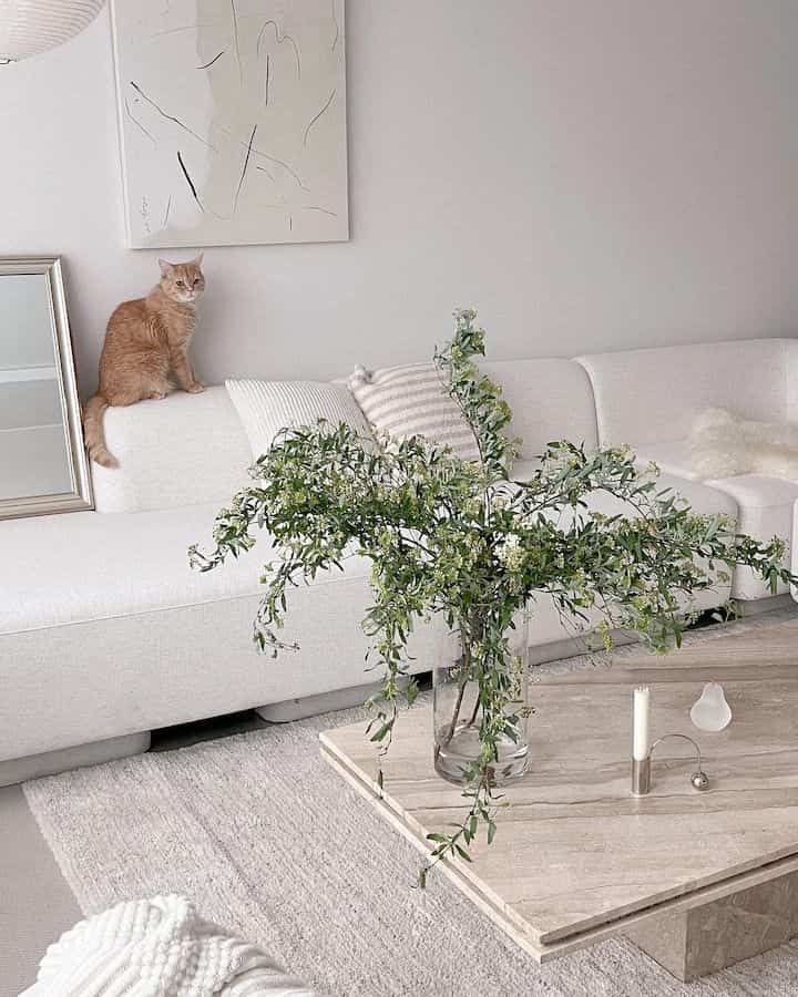 Menenangkan ruangan dengan tanaman 🌿✨ #GreenTouches #BotanicalBliss #InstaDecor