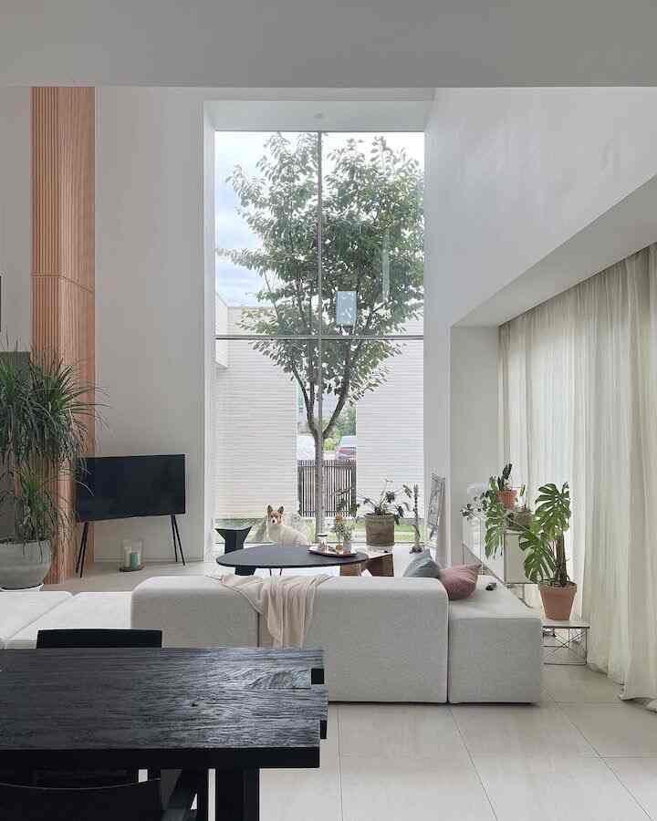 Refreshing view through the open picture window in the living room 🪟✨ #OpenWindowView #LivingRoomVista #InstaHome